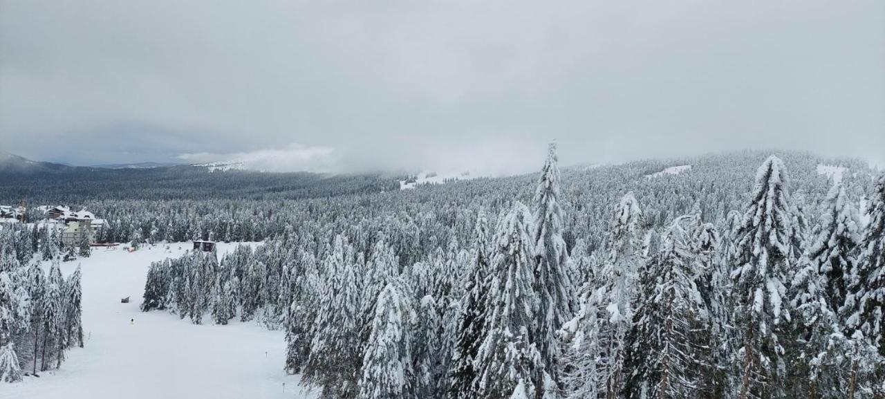 Sunny Days Apartman Kopaonik Eksteriør bilde